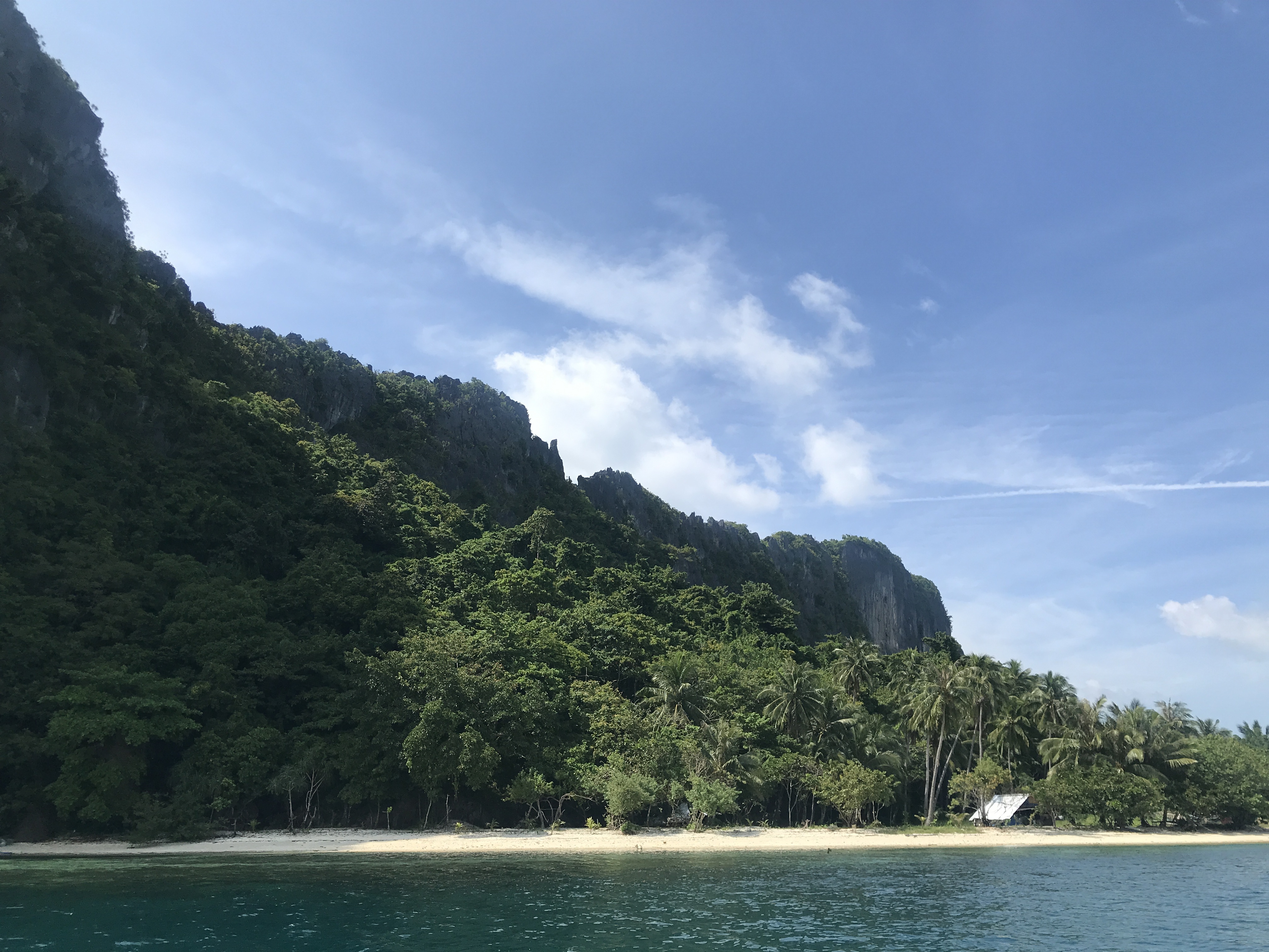 Malapacao Island — white sand beach, limestone cliffs, palm trees, Bacuit Bay